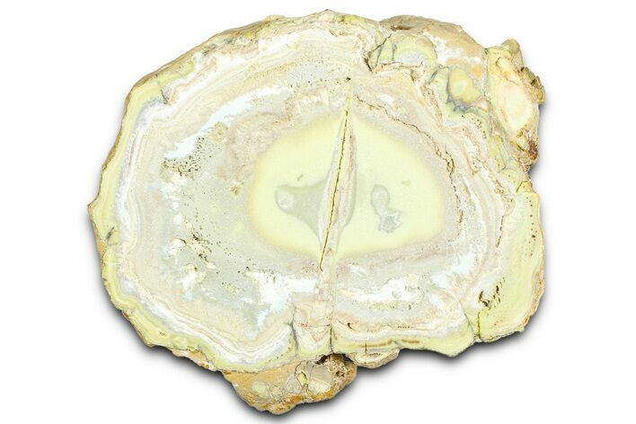 Clay Canyon Crandallite and Wardite - Old Collection Stock #362008